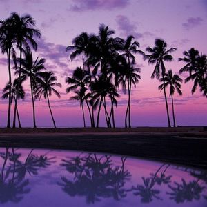 Meet your Posher, Germán rodrigo